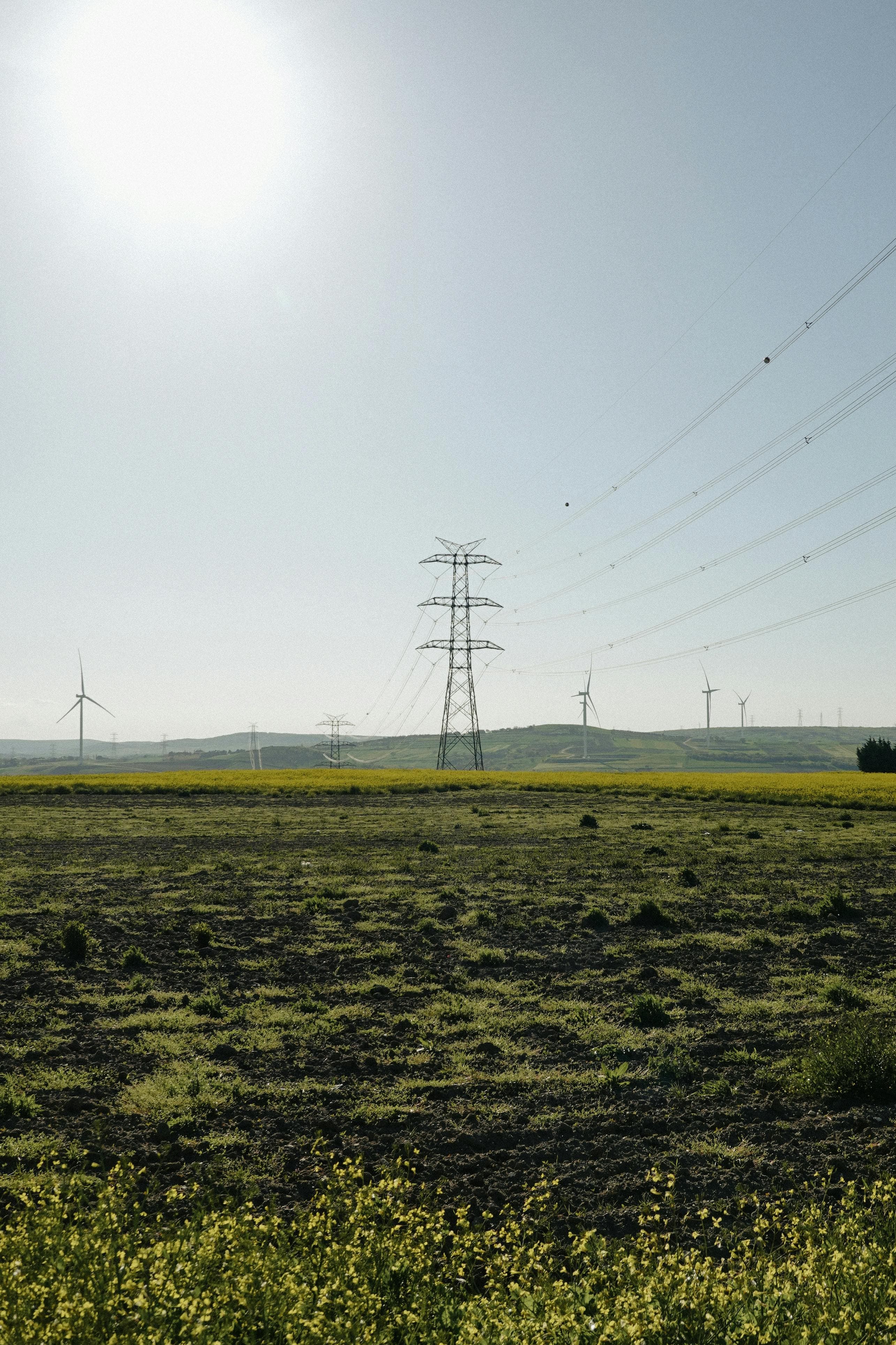 Renewable energy landscape